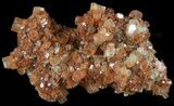 Aragonite Twinned Crystal Cluster - Morocco #49273-1